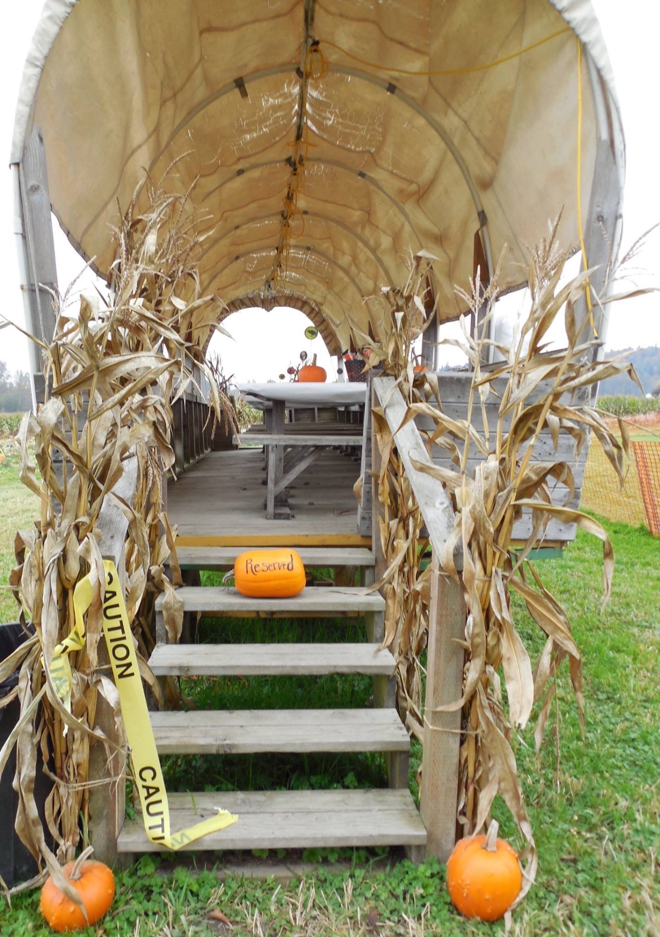 A covered wagon decorated with corn stalks and pumpkins