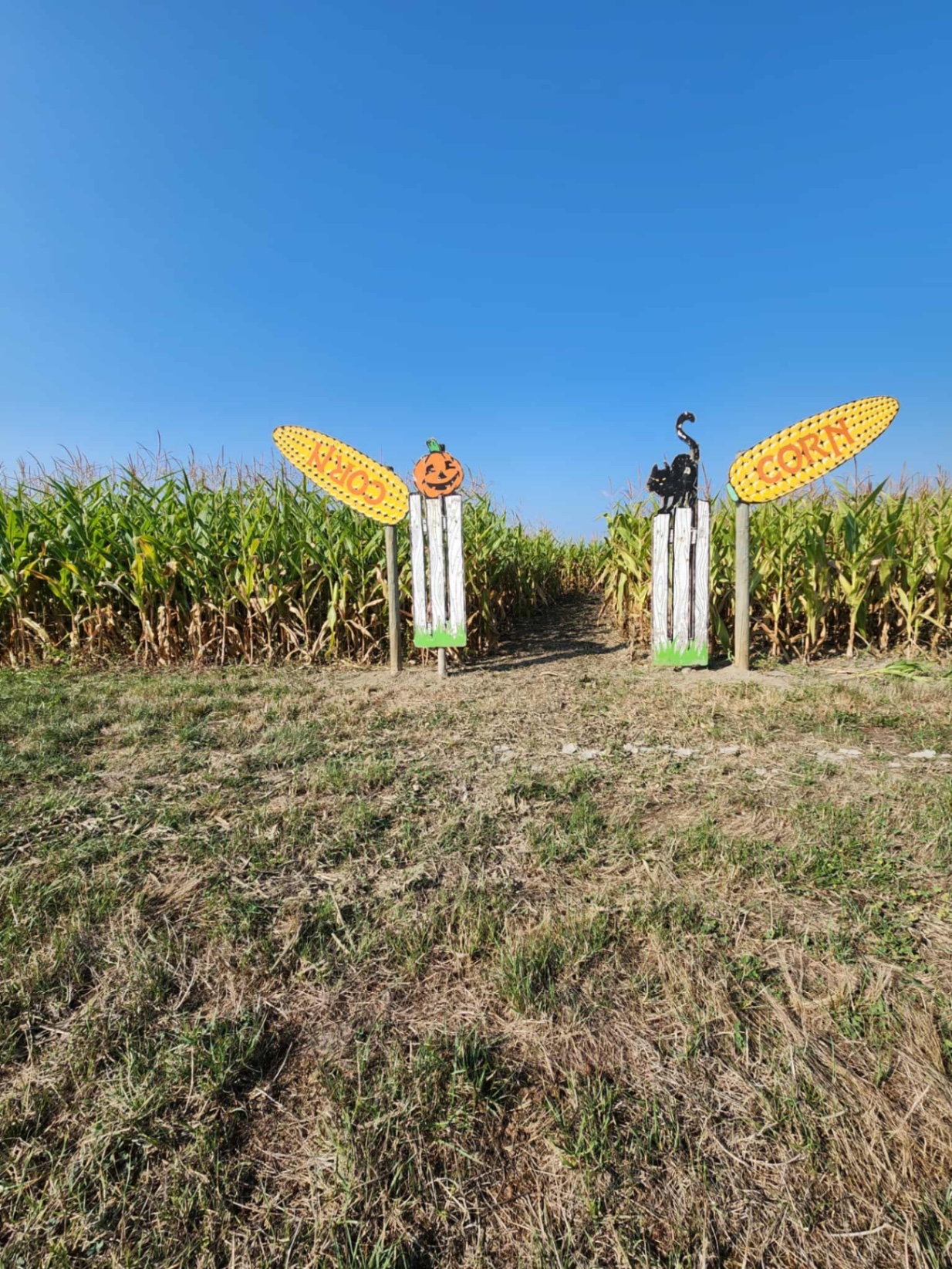 Entrance to the Black Crow corn maze