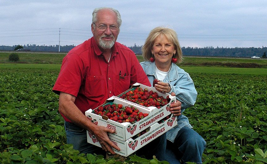 The Biringer family in the strawberry field